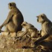 Chintan Patel's photo