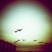 Rick Labrin's photo