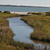 Photo de Sea Magnolia