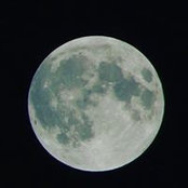 Drorit Etzioni's photo