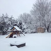 Anthony Weber's photo