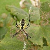 Katrina Bayer's photo