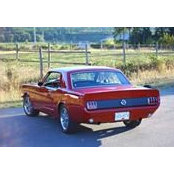 Bart Mcguire's photo