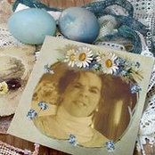Foto von Luann Groom