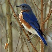 Jean Owens's photo