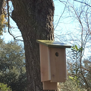 Blue Bird, Songbird, Swallow & Wren Houses