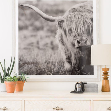 Scottsdale House | Decorating