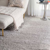 Soft and Plush Cloudy Solid Shag Rug, Silver, 7'10"x10'