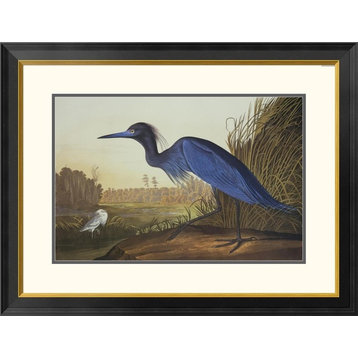 "Blue Crane Or Heron" Framed Digital Print by John James Audubon, 34"x26"