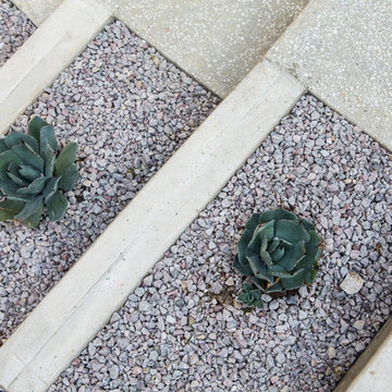 Barton Hills Modern Xeriscape