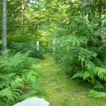 Moss path to the South