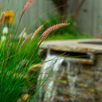 The Water Feature