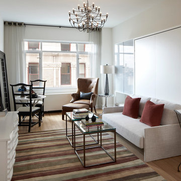 Brooklyn Heights Eclectic, Transitional Design + Furnish - Studio Apartment