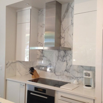 White Modern Euro Kitchen Remodel