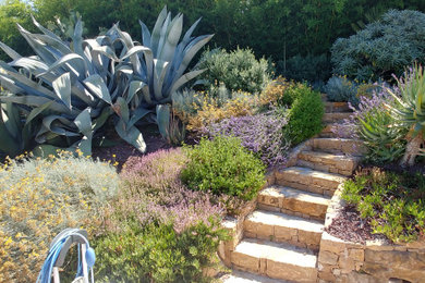 Foto di un giardino mediterraneo esposto in pieno sole di medie dimensioni in estate con un pendio, una collina o una riva e pavimentazioni in pietra naturale