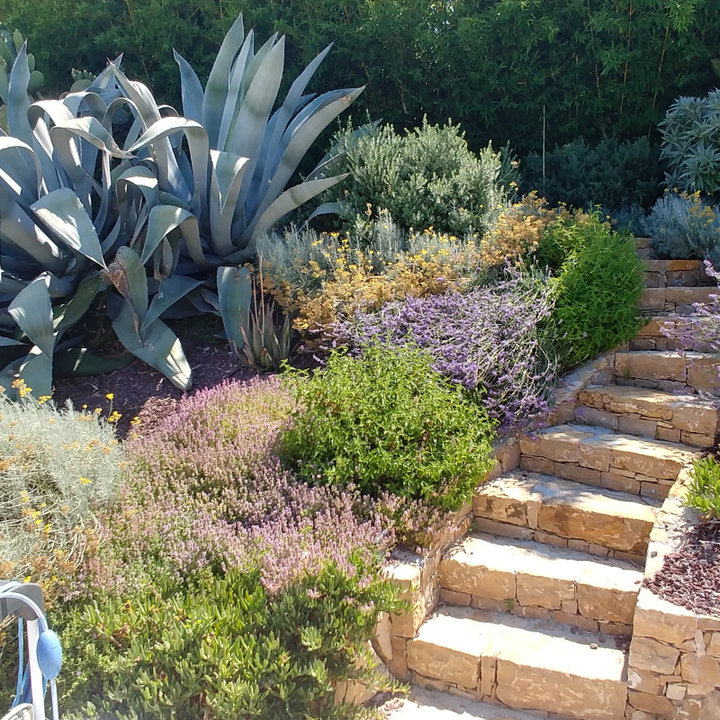75 Most Popular 75 Beautiful Mediterranean Garden Ideas & Designs ...
