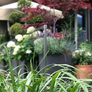 Loggia & Terrasse.... outdoor Living