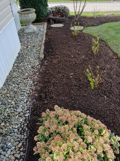 Ideas on what to plant with 'RAVE Hydrangea? please!