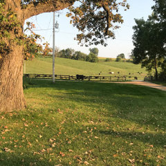 Ryndak Ranch