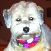 Jill Ciccone's photo