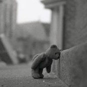 Amanda Fraser's photo