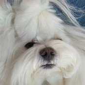 Wendy Webster's photo
