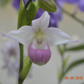 rashee muley's photo