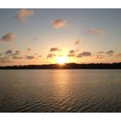 Rachael Gowins's photo