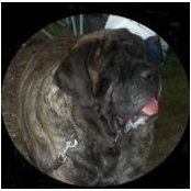 Sharon Barfield's photo