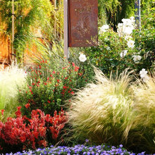 Planting Ideas