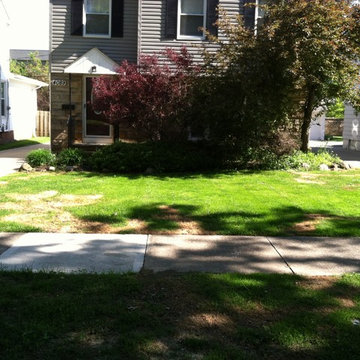 Zaccraya Cisse Spring Cleanup