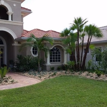 Tropical landscape