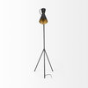 Eris III Black & Brass Metal Cone Shade Floor Lamp