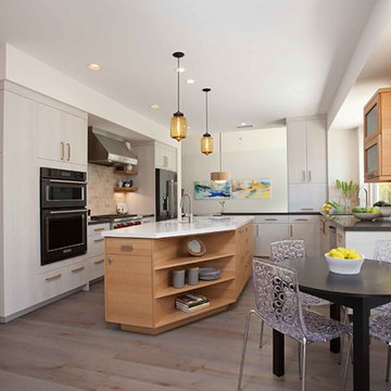 European Minimalism in Rancho Peñasquitos
