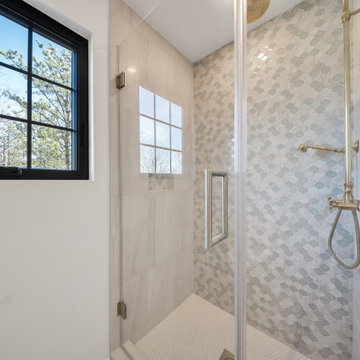 Guest Bath Shower