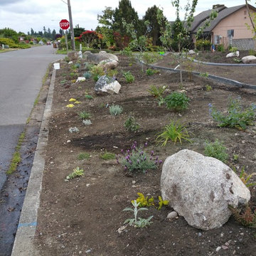 Edible Front Yard
