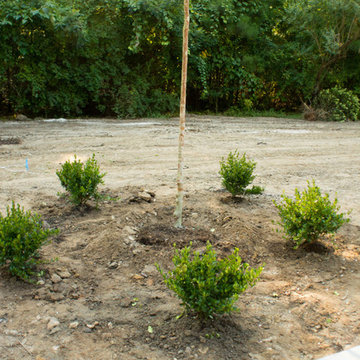 Stunning Landscape Renovation in Augusta!