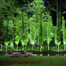 Privacy And Border Trees