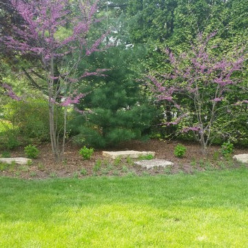 sycamore mulch-less conversion