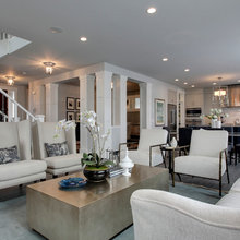 Living Room Ideas