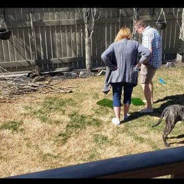 Synthetic Artificial Turf Grass Dog Yard Transformations