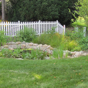 Pond and Rain Garden