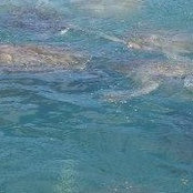 Miranda Hallock-Baker's photo