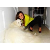 Adrienne Cohen's photo