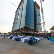 Sara Moya's photo