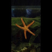 Janet Sommers's photo
