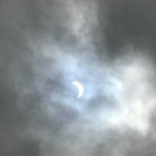 Shanna Dorman's photo