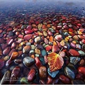 Ursula Beck's photo