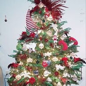 Foto von Debbie Kline