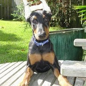 Debbie Brookss foto